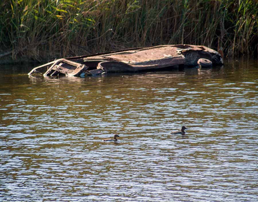 A di ti je kêra ?!?