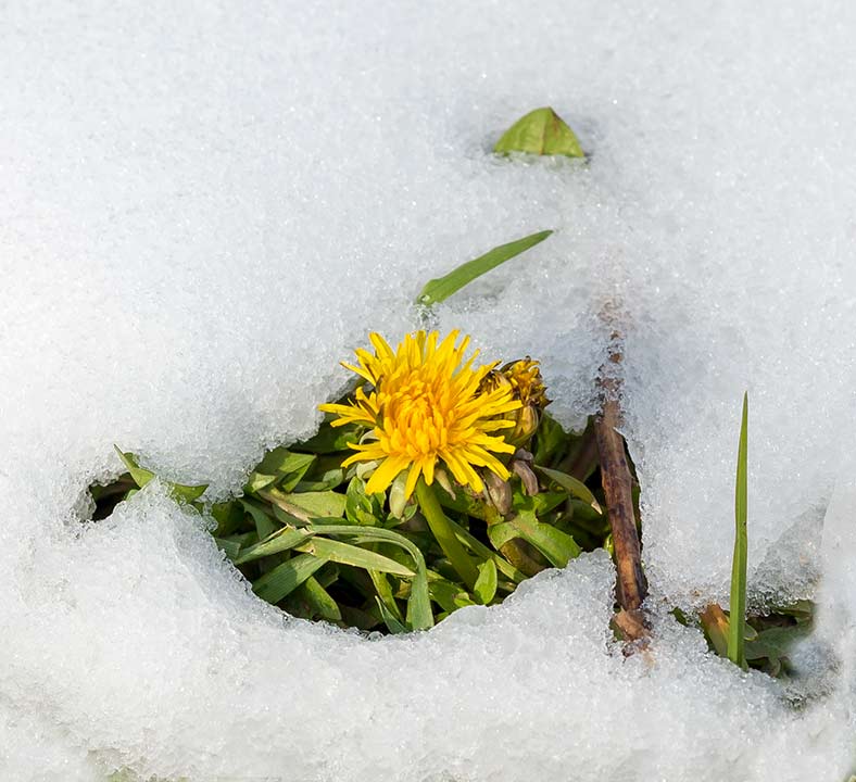 Probîva se proleće !!!