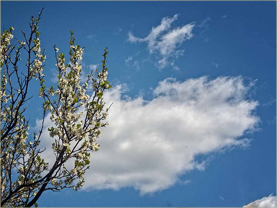 Ajd sad malo proleće !!!