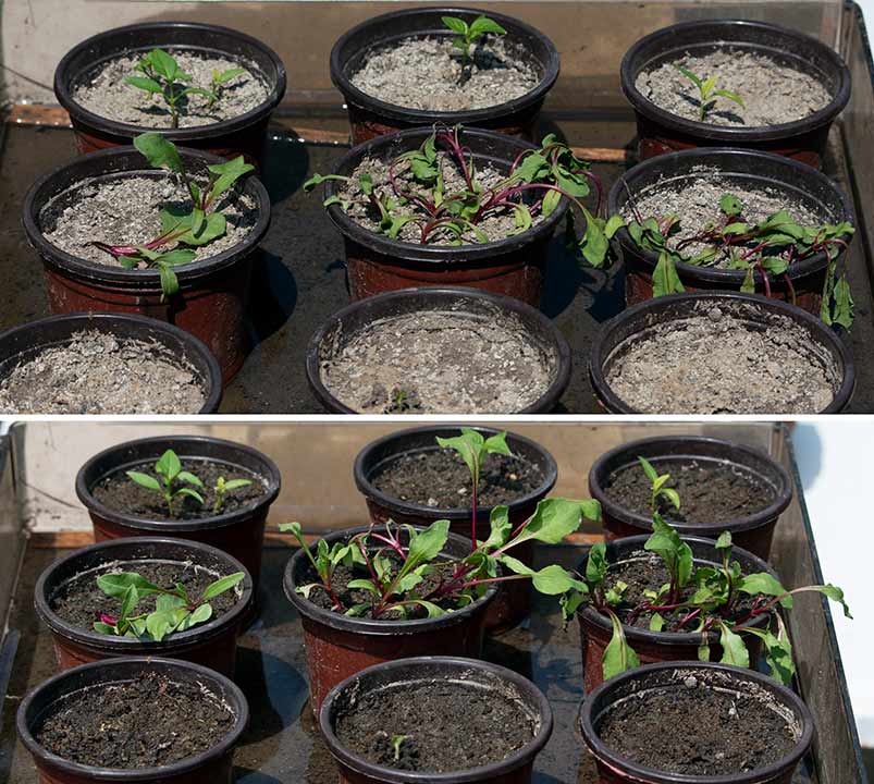 Voda..., što život znači !!!