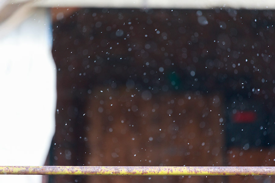 Sneg i Cunce zajedno...