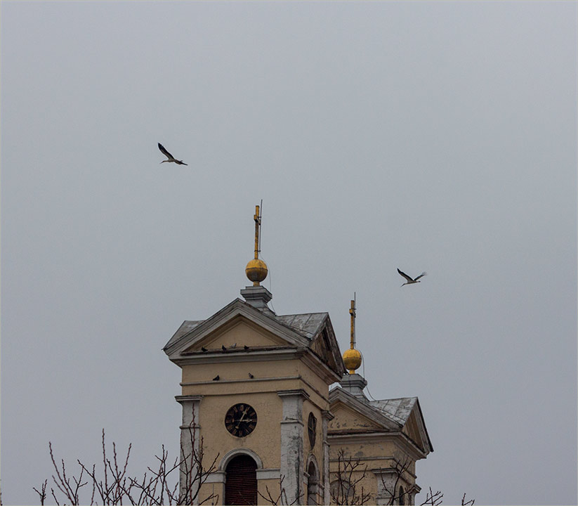 Vratile su nam se rode !!!