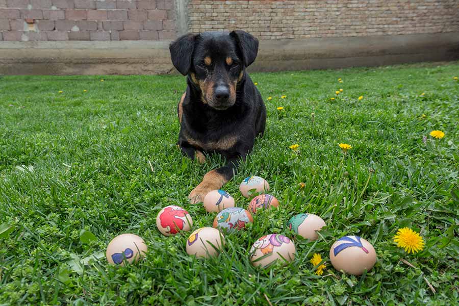 Srećan Uskrs za hrišćane, koji danaske slavidu !!!