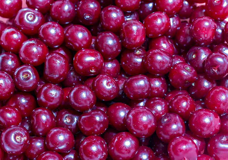 Moja prva, prodaja višanja...