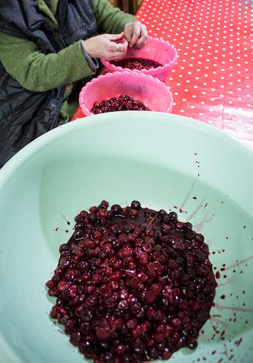 Kad Vam, neDaj Bože, crkne zamrzivač...