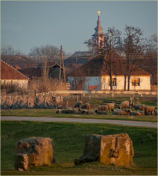 Niko nema tako jâke sinove...