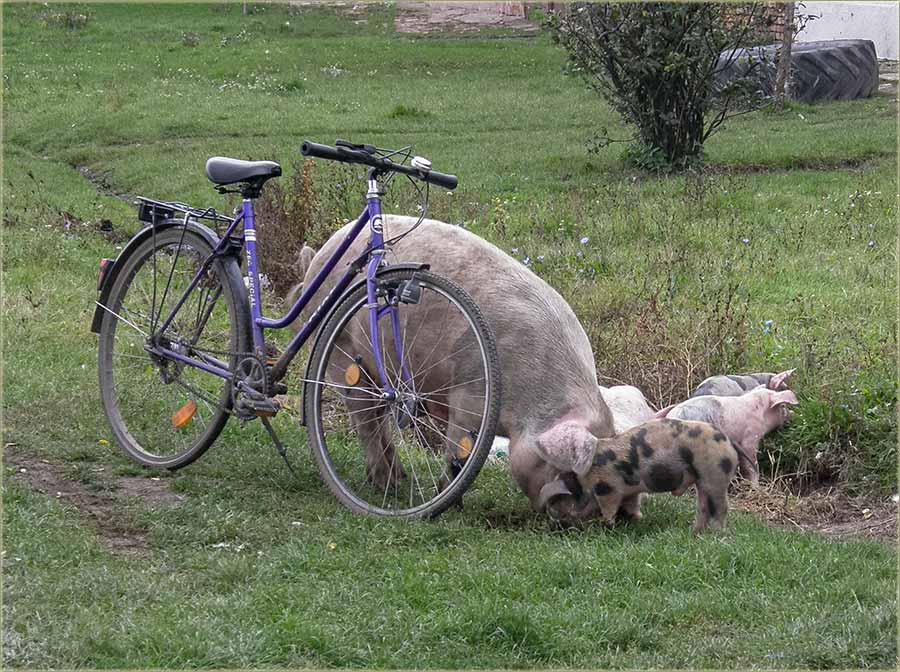 Znâm što slikaš ovo...