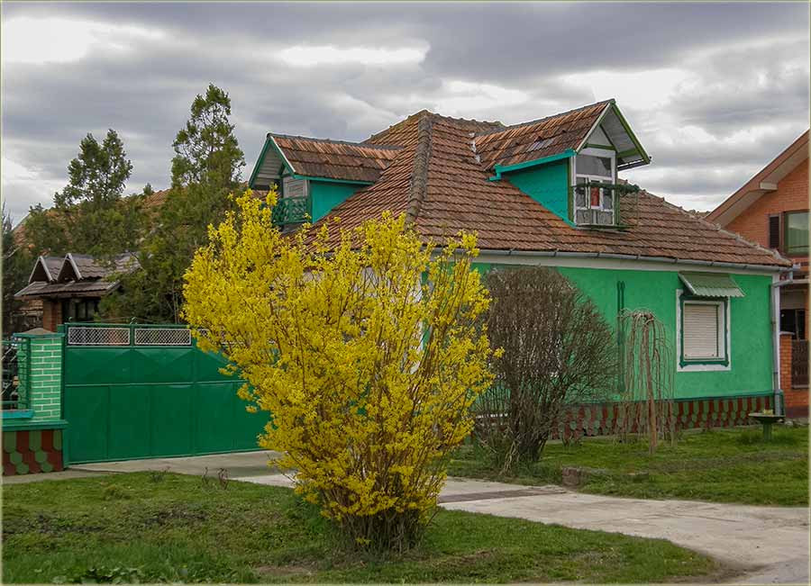 Još edna stara izreka - di je cvet...