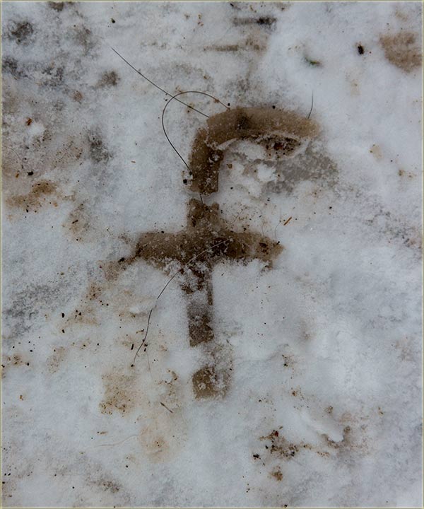 Eto..., diGuđ se okreneš, a ono - fejsbuk !!!