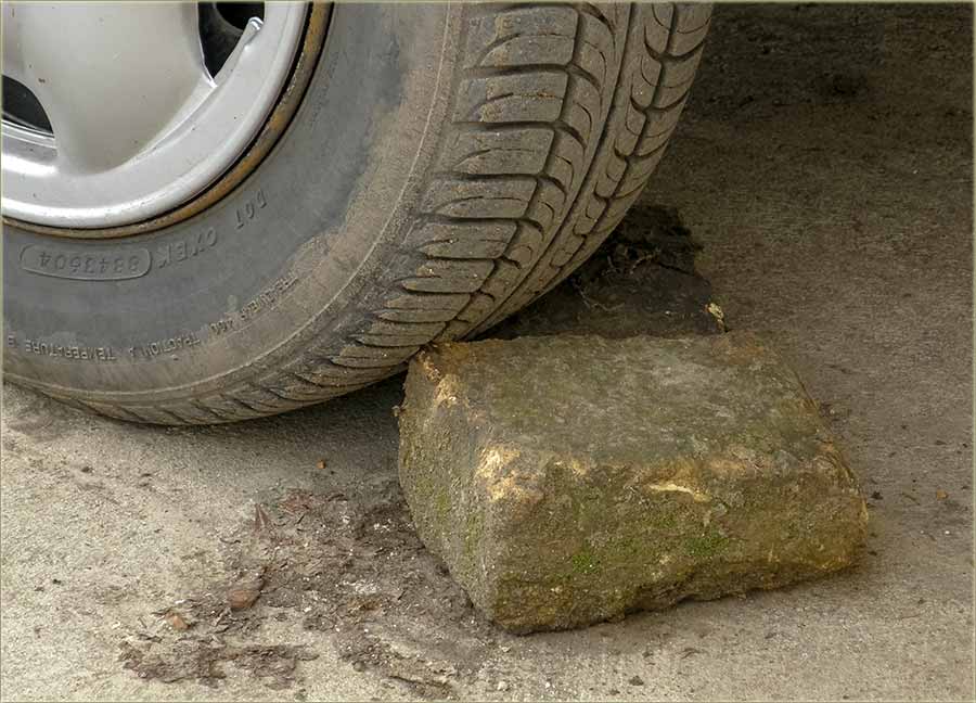 Slika iz Novog Miloševa, a priča iz Novog Bečeja !