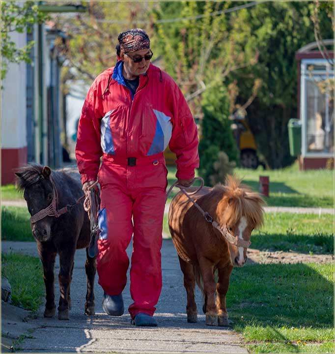 Jedan dân..., kad uđem uŠtalu...