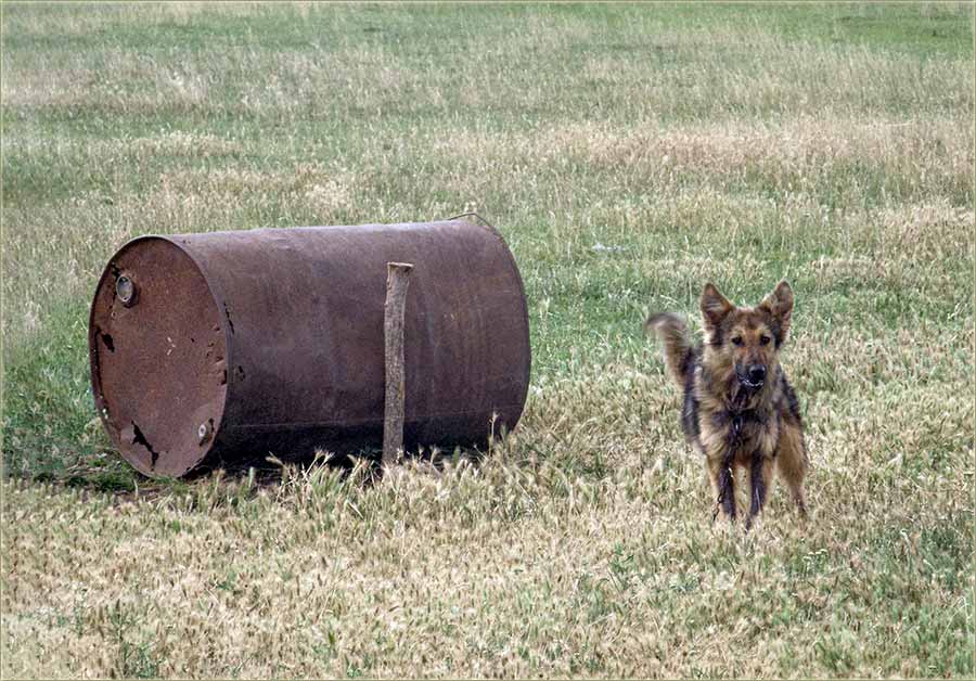 Ker..., lanac..., kolac..., bure..., šerpica...