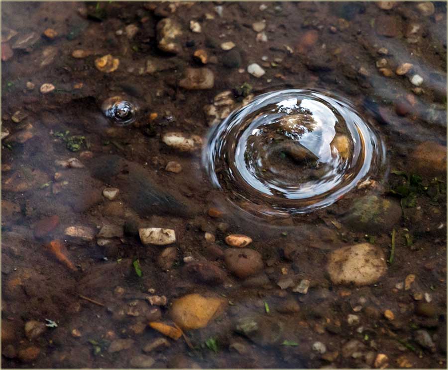 Kako se pragnozira, kolko će još kiša padati ?