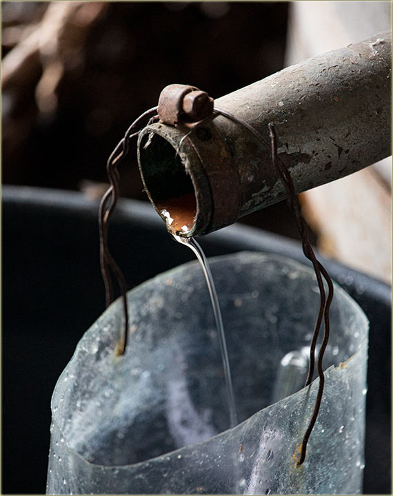 Krenila je rakija od kajsije !!!