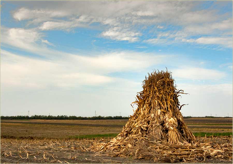 Kulača od tulaja !!!