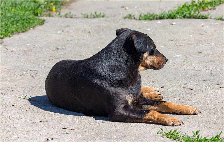 Pa..., jel to lepo ?!?