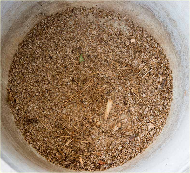 Evo kako se nekad, sijala mirođija !!!