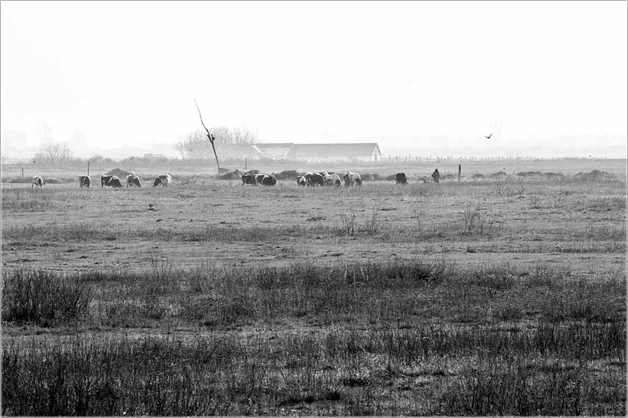 Nije mraz, neg je jutarnja slâna !!!