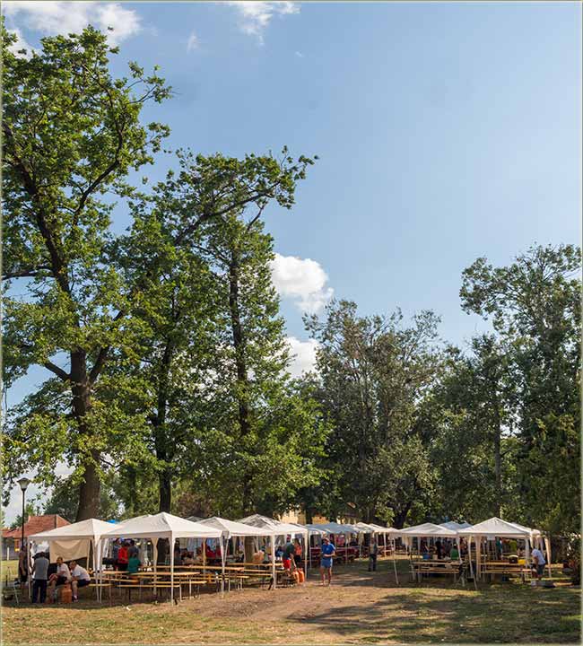 Novomiloševački - Zlatni kotlić I ...