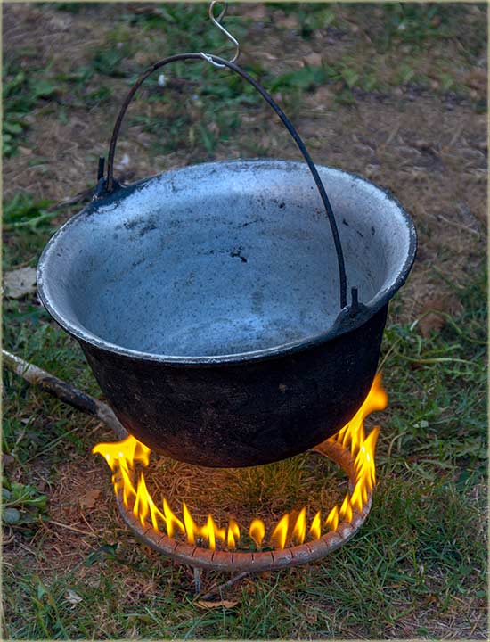 Novomiloševački - Zlatni kotlić II ...