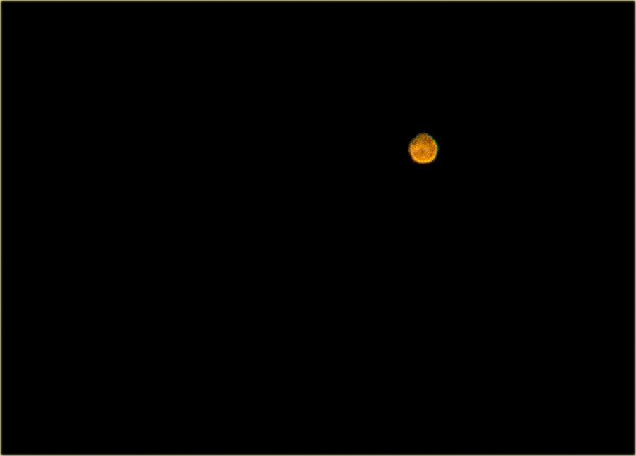 Novo Miloševo - Venera - Saturn u jednu leniju !!!