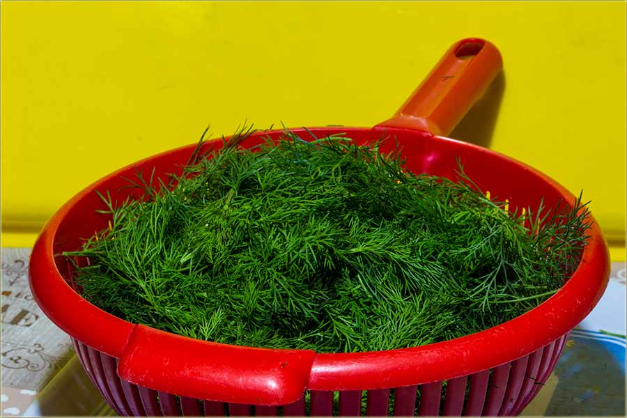 Poslednja mirođija, 2019-te...