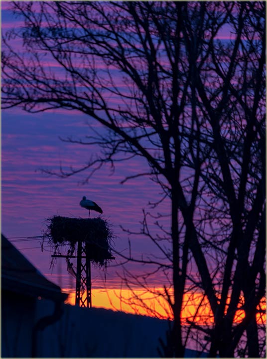 Ne da proleće kreće..., neg je krenilo !!!