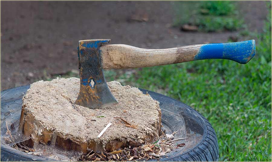 Ima raznoRâzni zvukova !!!