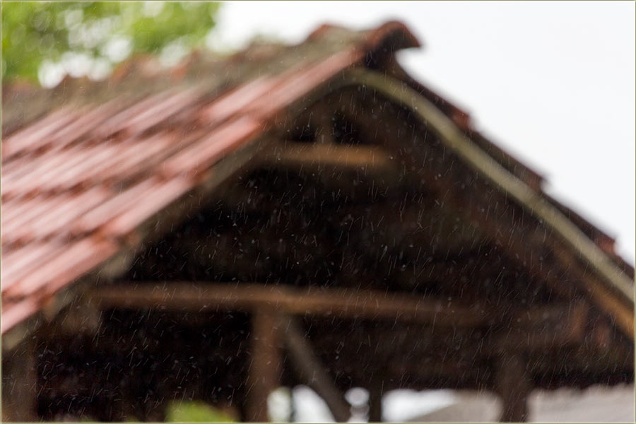 Sitna, jesenja kiša..., a prolećna...