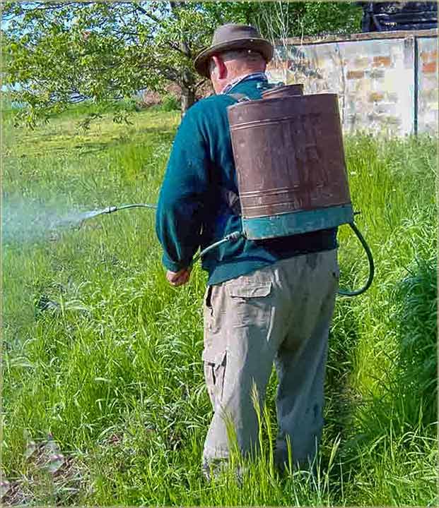 Svaka dobra špekcija, mora da smrdi !!!