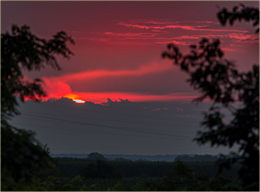 Stiglo nam je leto !!!