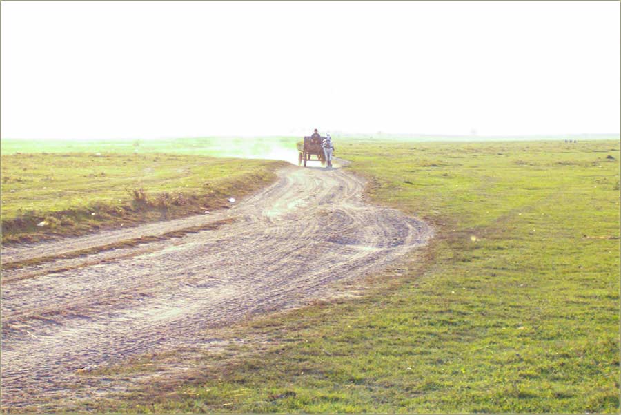 Jâka sûša i prašina...