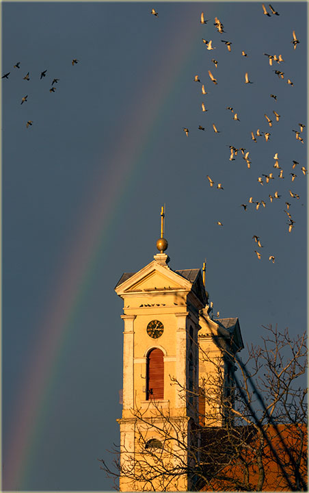 Dûga, na Badnji dan, a po grigorijanski !!!