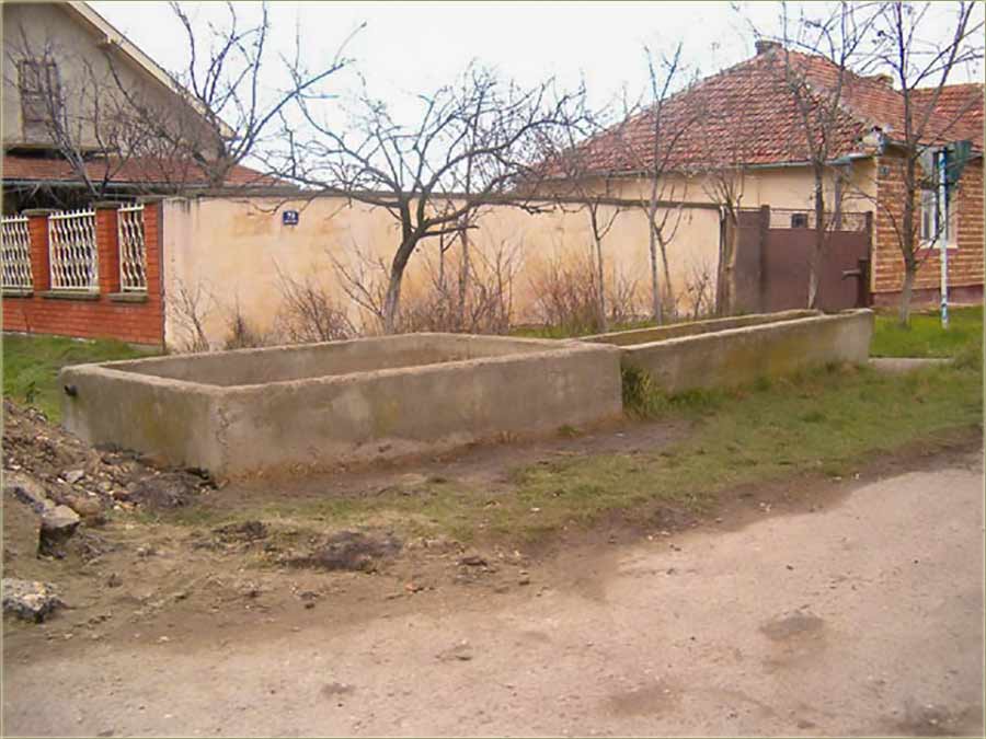 Ko nije nosijo vodu sas artejskog bunara I ...