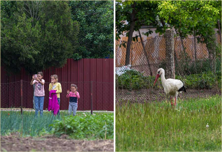 Deca prikoBâšće i roda...