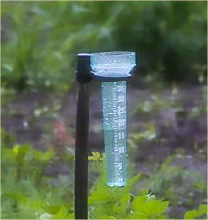 I u Miloševo, je palo više od 10 litri kiše !!!