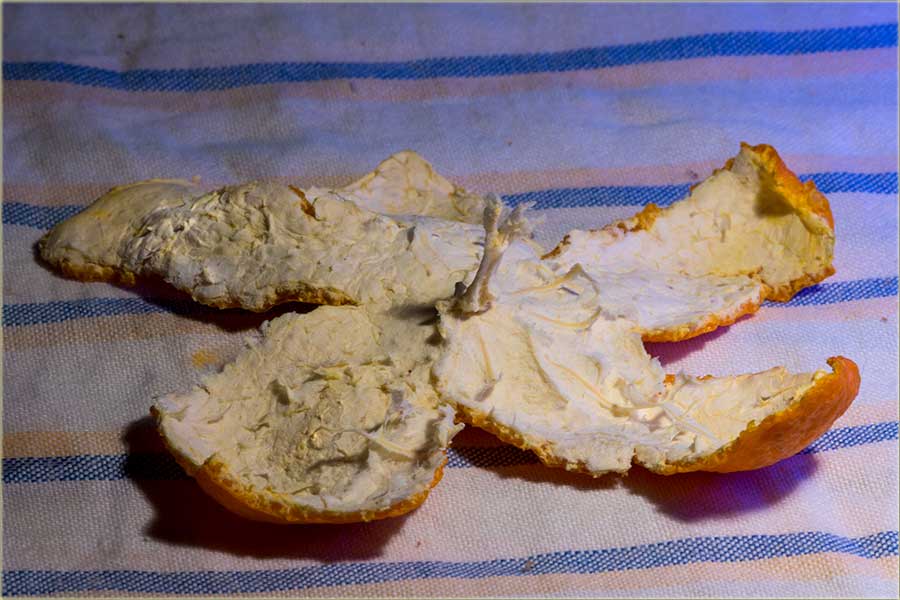 Puna sizona, južnim voću...