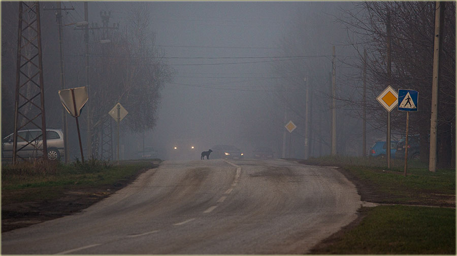 Magla iz pravca Karlova, pa u madžarski kraj !!!