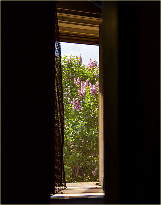 A gle kako priroda dûva krozPendžer !!!