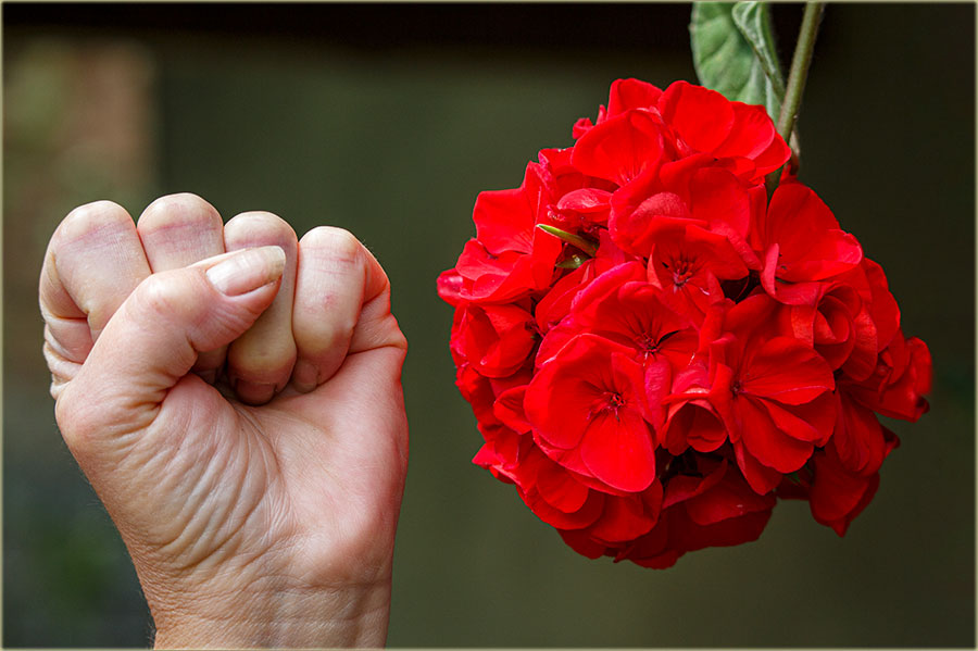 Ama kaki Otpor izborima, muškaklja je glavna !!!