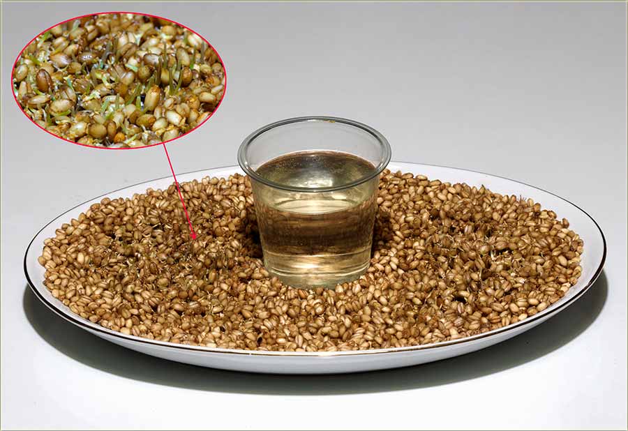 Spremamo se za sledeći Božić kodNas u Miloševo !!!