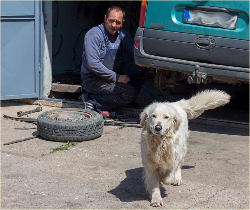 Prâvi, vulkanizerski ker !!!