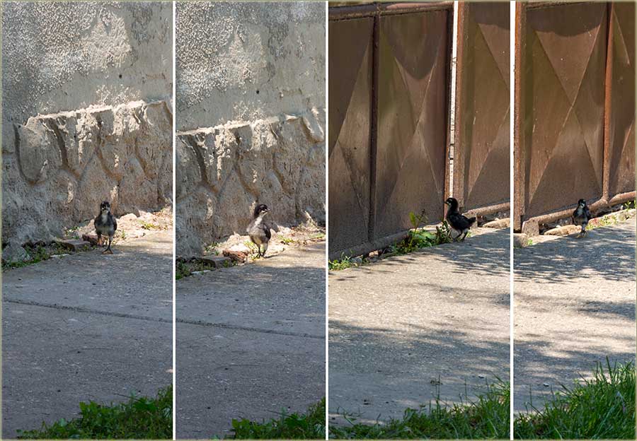 Kad se izgubi nedeljom poslaPodna..., sve razbudi