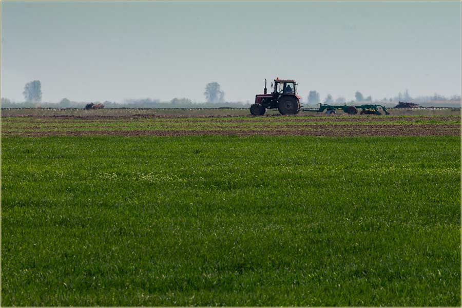 A uAtar..., a uAtar..., se naVeliko râdi !!!