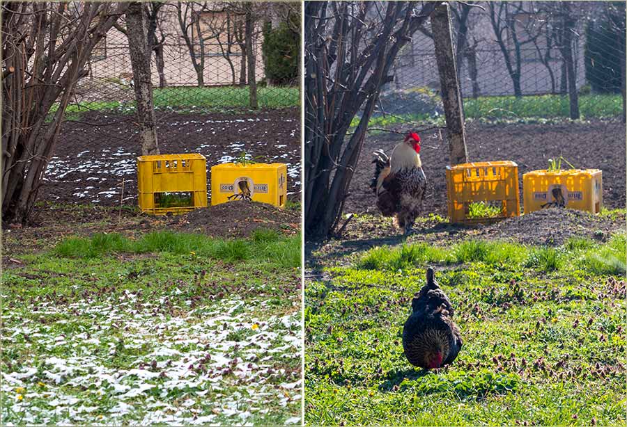 Ostani kod kuće, neLutaj po selu...