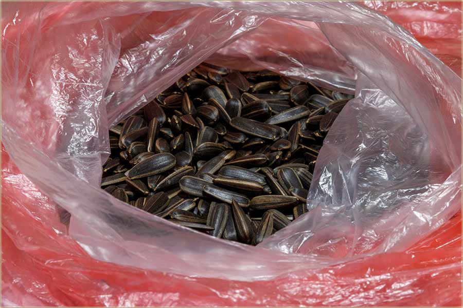 I cuncuKret je takođe..., jedna od zâraza !!!