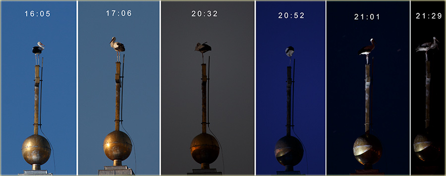 Rodčija osmatračnica !!!