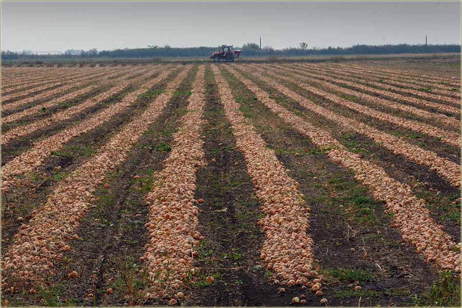 Kad vidim ovakvo šta..., pomislim...