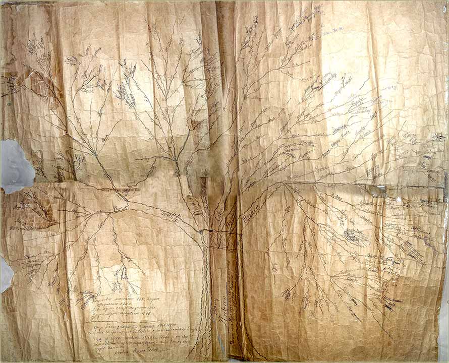 Brez okupljanja familije Popov..., ove godine...