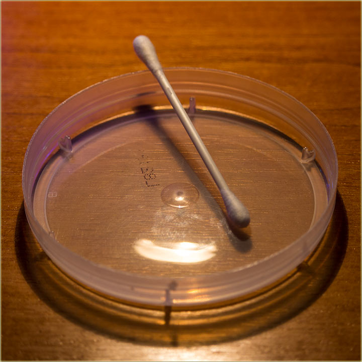 Em su počeli da se kupadu, kav neSvet..., em...